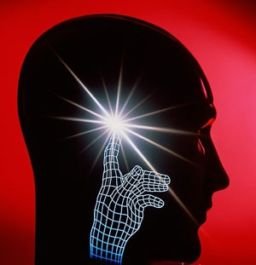 intuito di un leader