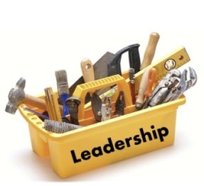 12M11A02 Z Leader toolbox aumentare l'influenza