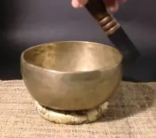 Il Leader Risonante: leadership ed intelligenza emotiva Il Leader Risonante: leadership ed intelligenza emotiva