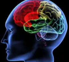 Scopri le 5 competenze emotive di un leader risonante