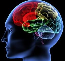 Scopri le 5 competenze emotive di un leader risonante Scopri le 5 competenze emotive di un leader risonante