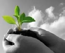 Come migliorare la leadership: i 3 suggerimenti pratici per farlo Come migliorare la leadership: i 3 suggerimenti pratici per farlo