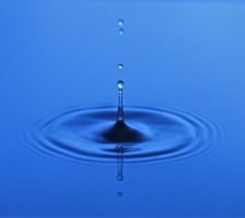 Impara a diventare un leader risonante Impara a diventare un leader risonante