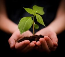 Come sviluppare la generosità e la condivisione