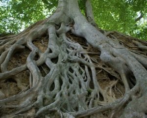 Quanto è importante il carattere: 10 citazioni illuminanti