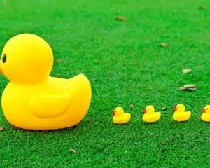 10 consigli di leadership per manager alle prime armi 10 consigli di leadership per manager alle prime armi