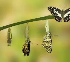 Per guidare il cambiamento, inizia prima a cambiare te stesso