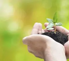 Ambiente e crescita personale: le 7 scelte definitive Ambiente e crescita personale: le 7 scelte definitive