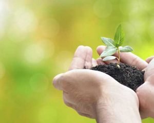 Ambiente e crescita personale: le 7 scelte definitive Ambiente e crescita personale: le 7 scelte definitive