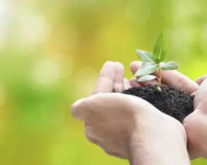Ambiente e crescita personale: le 7 scelte definitive Ambiente e crescita personale: le 7 scelte definitive