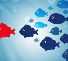 Le 9 cose che i seguaci si aspettano dal loro leader Le 9 cose che i seguaci si aspettano dal loro leader