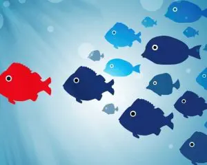 Le 9 cose che i seguaci si aspettano dal loro leader Le 9 cose che i seguaci si aspettano dal loro leader