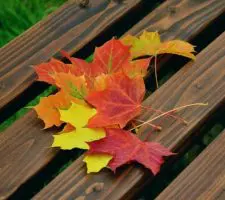 Capire il cambiamento: scopri 4 verità e 3 miti Capire il cambiamento: scopri 4 verità e 3 miti