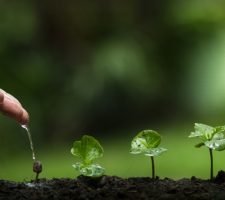 Come far crescere gli altri: 7 buoni modi per imparare a farlo