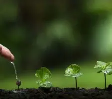 Come far crescere gli altri: 7 buoni modi per imparare a farlo