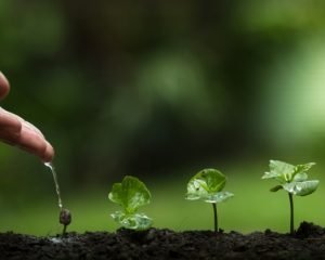 Come far crescere gli altri: 7 buoni modi per imparare a farlo Come far crescere gli altri: 7 buoni modi per imparare a farlo