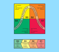 I 4 Stili Situazionali e lo sviluppo dei collaboratori I 4 Stili Situazionali e lo sviluppo dei collaboratori