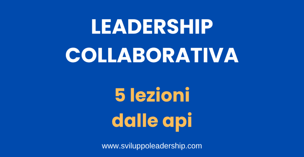 Leadership collaborativa: le 5 lezioni che arrivano dalle api leadership collaborativa