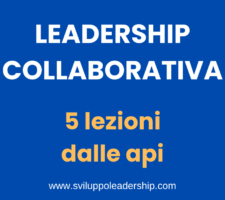 Leadership collaborativa: le 5 lezioni che arrivano dalle api