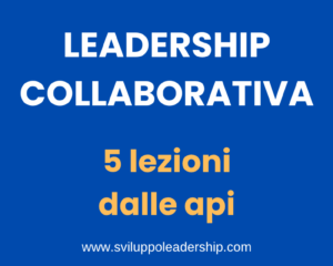 Leadership collaborativa: le 5 lezioni che arrivano dalle api