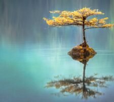 Autoriflessione efficace nella leadership mediante 4 passi Autoriflessione efficace nella leadership mediante 4 passi